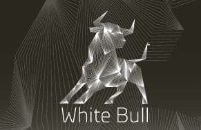 white-bull